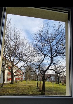 Sauberes Fenster